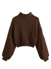 Turtle Neck Sweater Elegant Long Sleeve