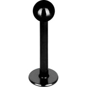 16G Black Titanium Labret Monroe