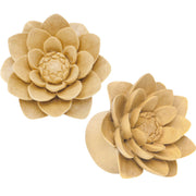 3/4 Organic Crocodile Wood Lily Hand Carved Plug Set