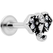 16G 5/16 Clear Gem Regal Elephant Labret Monroe Tragus