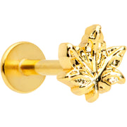 16G 5/16 Gold Tone Pot Leaf Labret Monroe Tragus