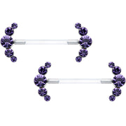 14G 13/16 Purple Gem Bioplast Simple Curvation Nipple Ring Set