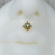 16G 5/16 Clear Gem Gold Tone Regal Seal Labret Monroe Tragus