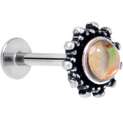 16G 5/16 Brown Faux Shell Circle of Glam Labret Monroe Tragus