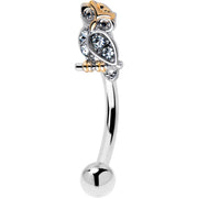 16G 5/16 Clear Gem Evening Owl Curved Eyebrow Ring