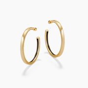 BIG DREAM HOOPS