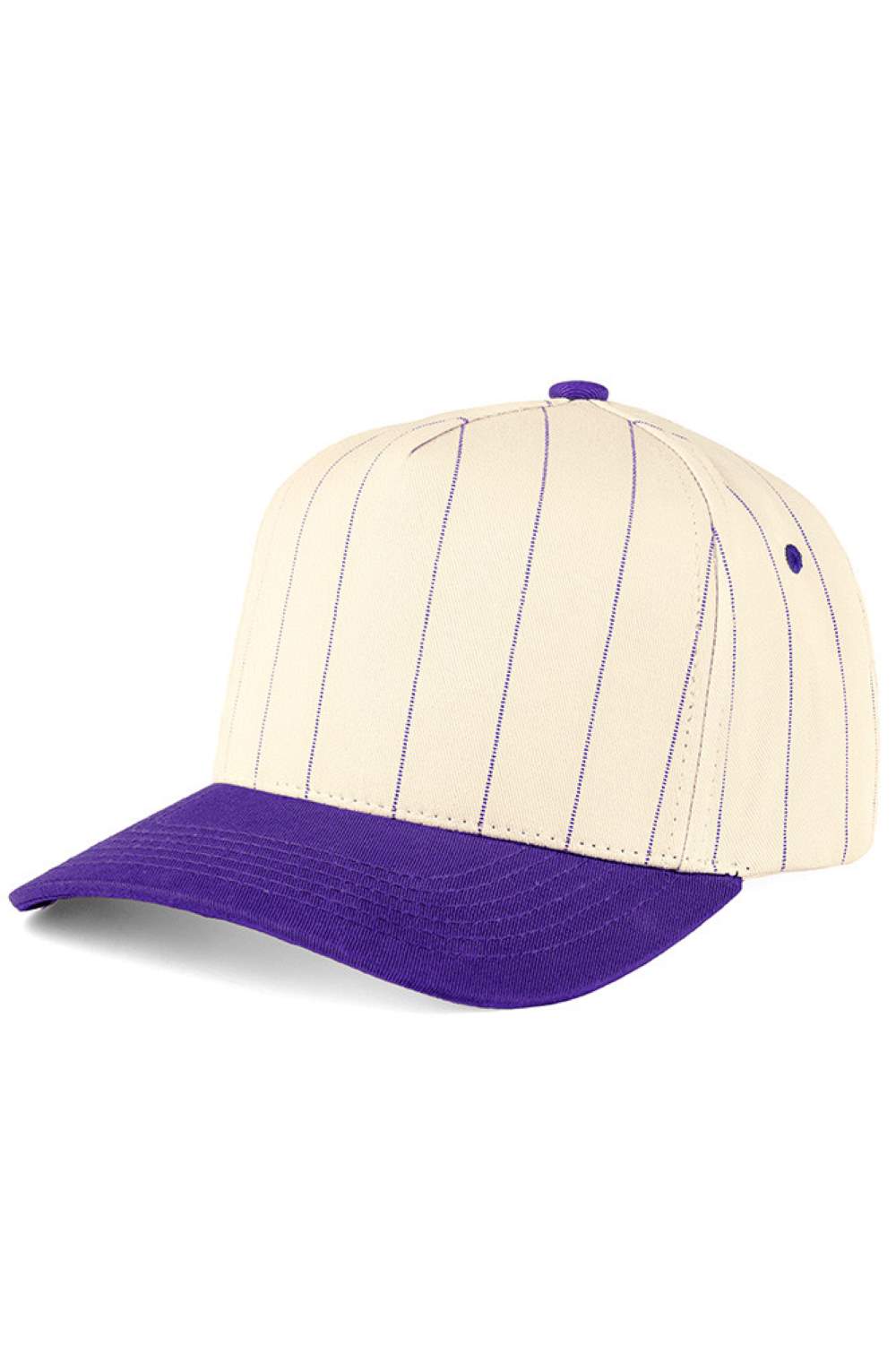 C.C Pinstripe Palin Two Tone Trucker Cap