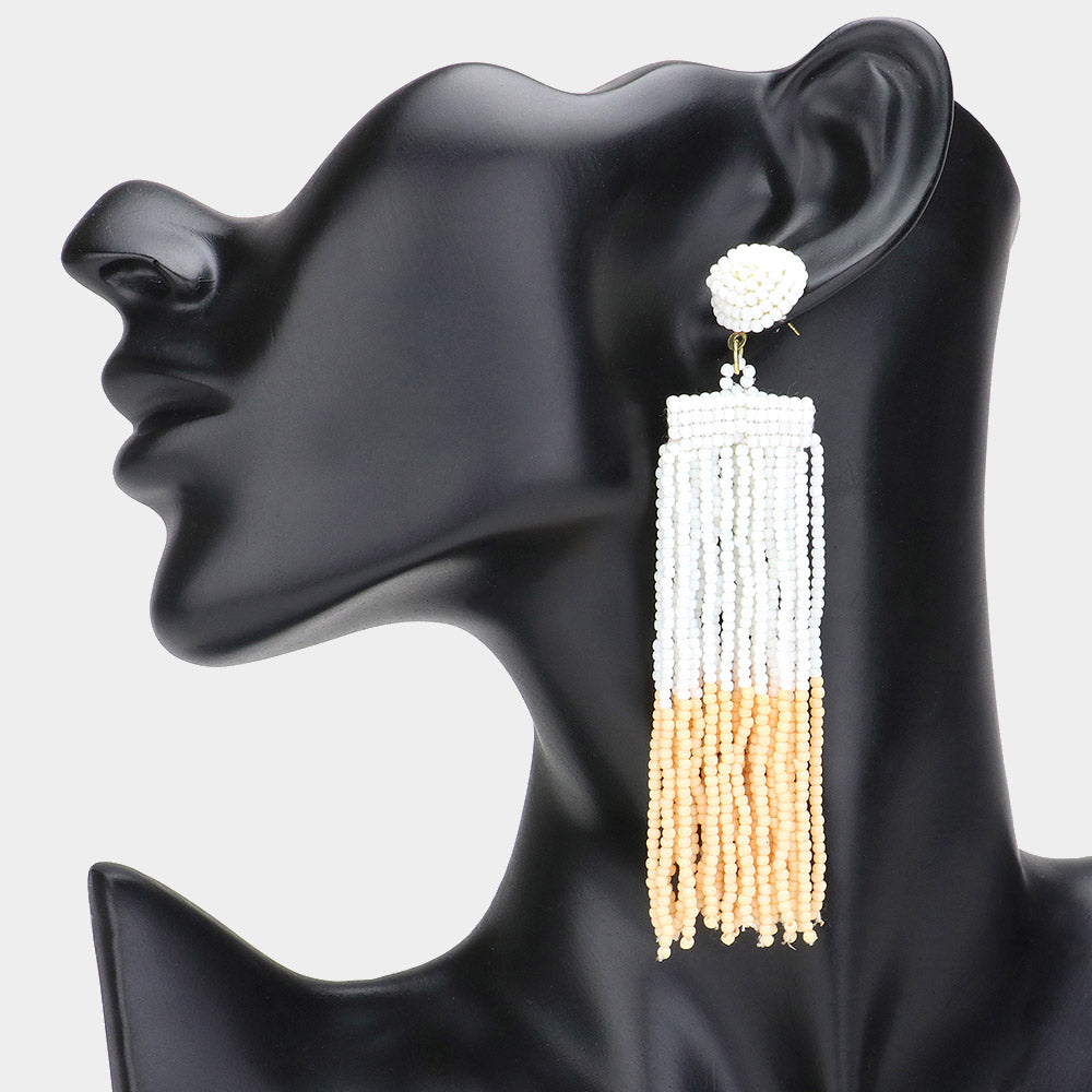Seed Beaded Tassel Dangle Earrings
