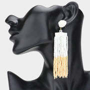 Seed Beaded Tassel Dangle Earrings