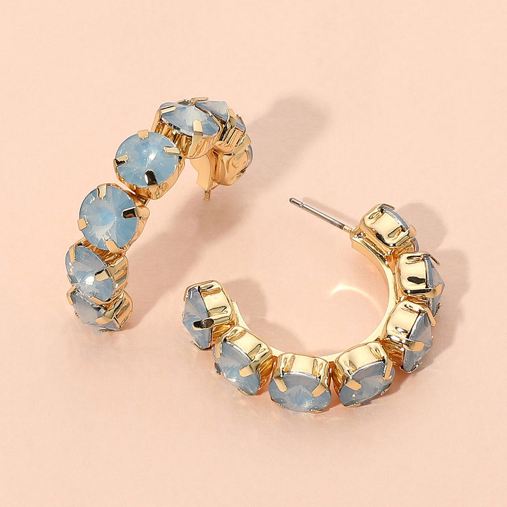 Faceted Round Stone Hoop Earrings