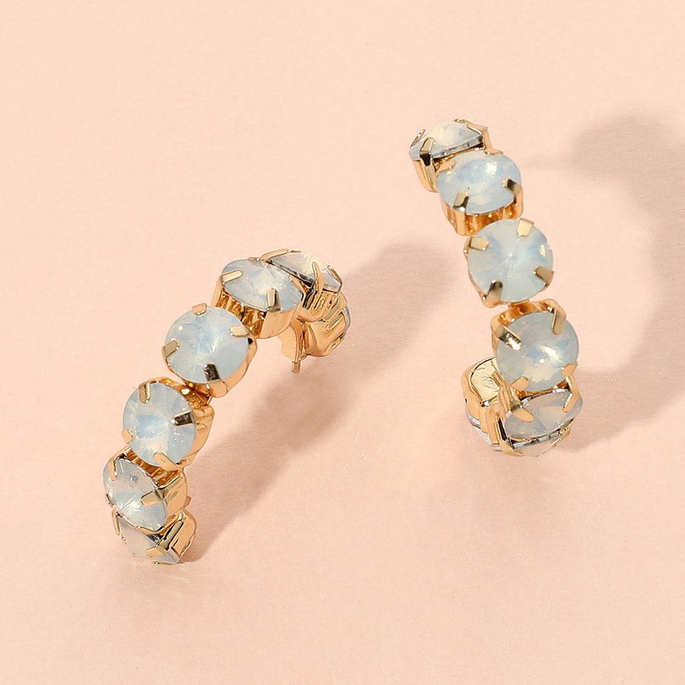 Faceted Round Stone Hoop Earrings