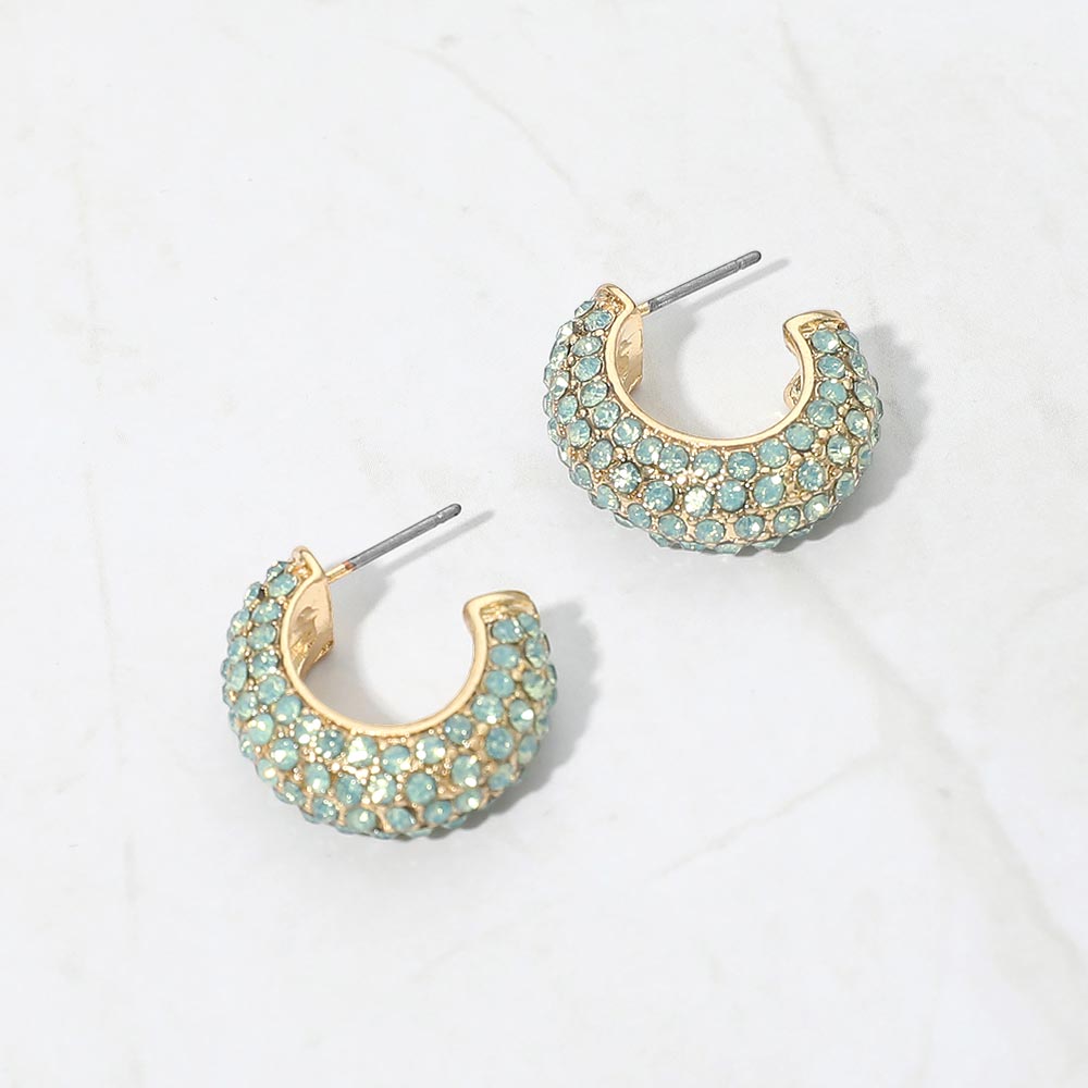 Stone Pave Hoop Earrings