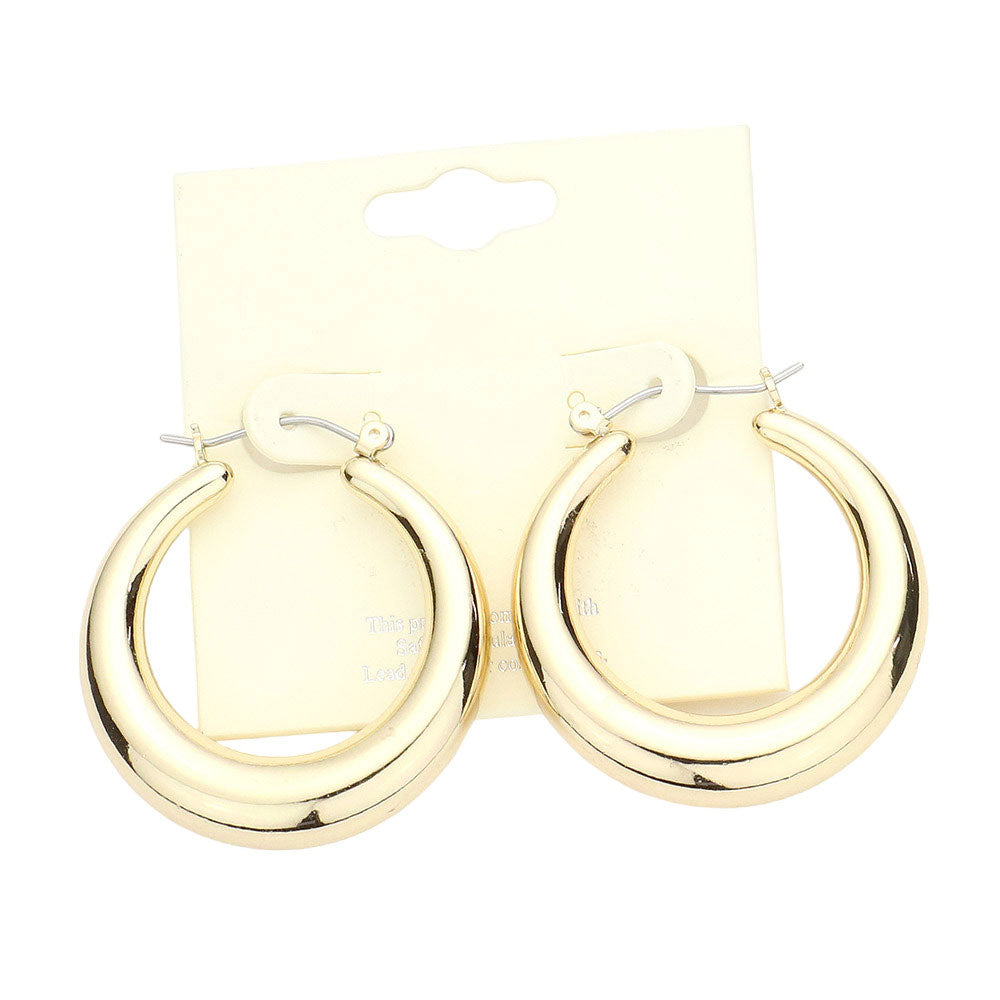 Metal Hoop Pin Catch Earrings