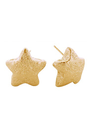 14K Glitter Texture Star Post Earring