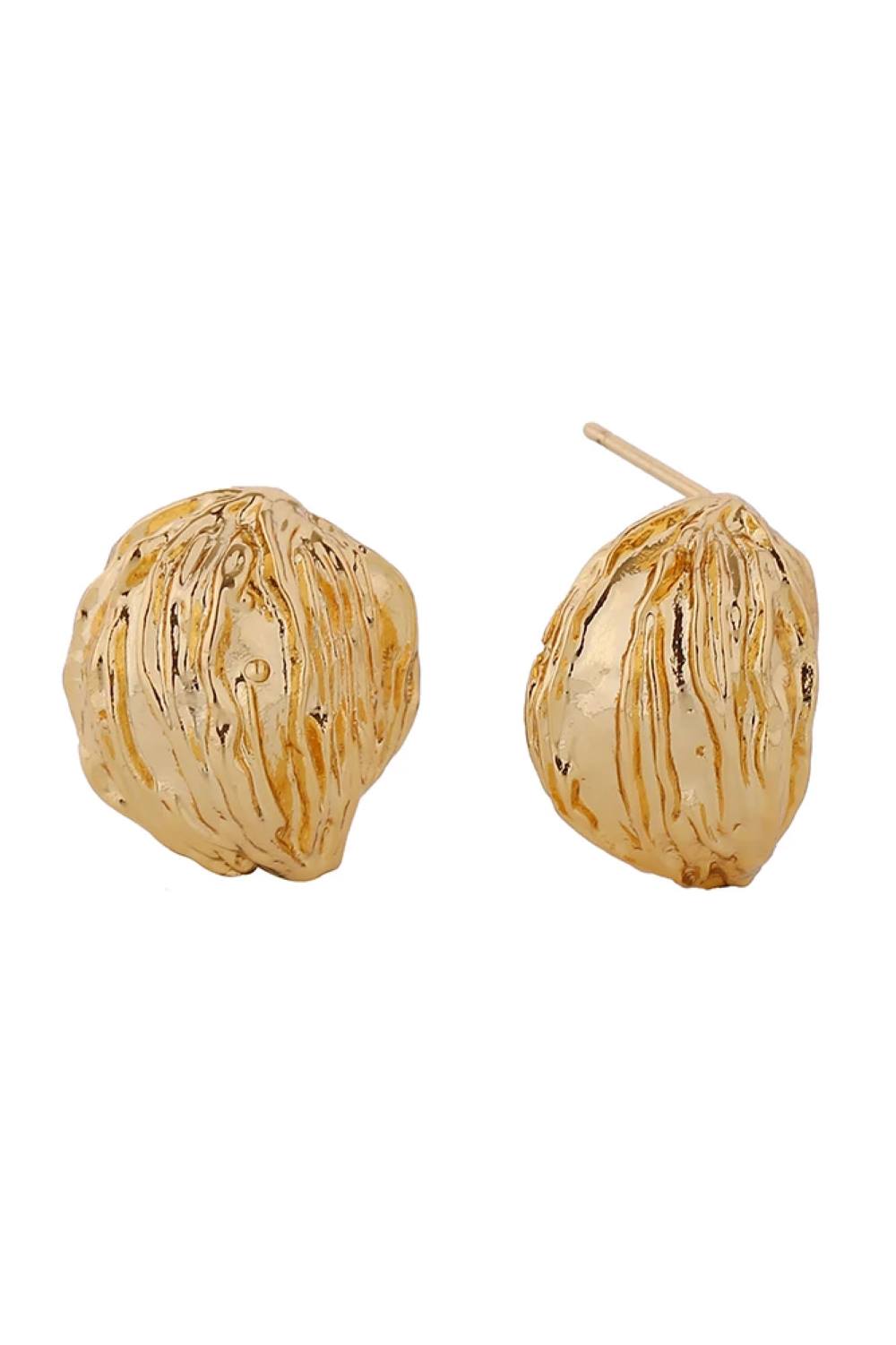14K Grooved Shell Post Earrings