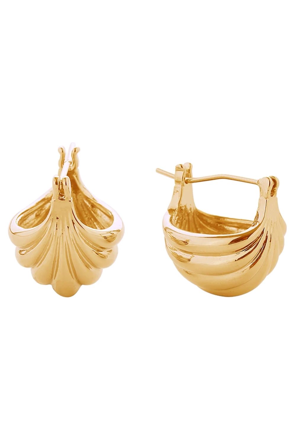 14K Sea Shell Pincatch Earrings