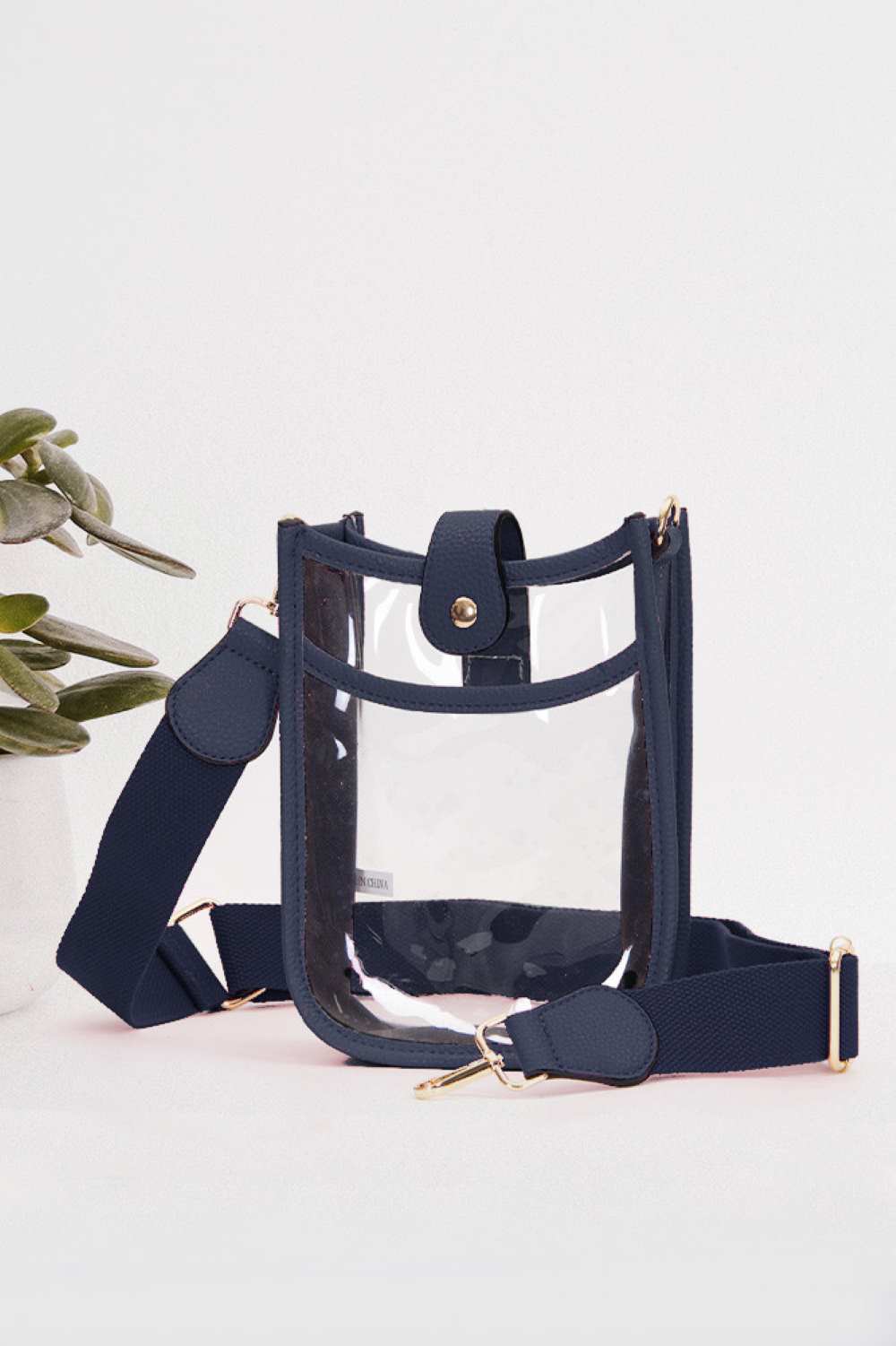 Pretty Clear Stadium Crossbody Mini Bag
