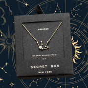 SECRET BOX_14K Gold Dipped CZ Aquarius Zodiac Sign Pendant Necklace
