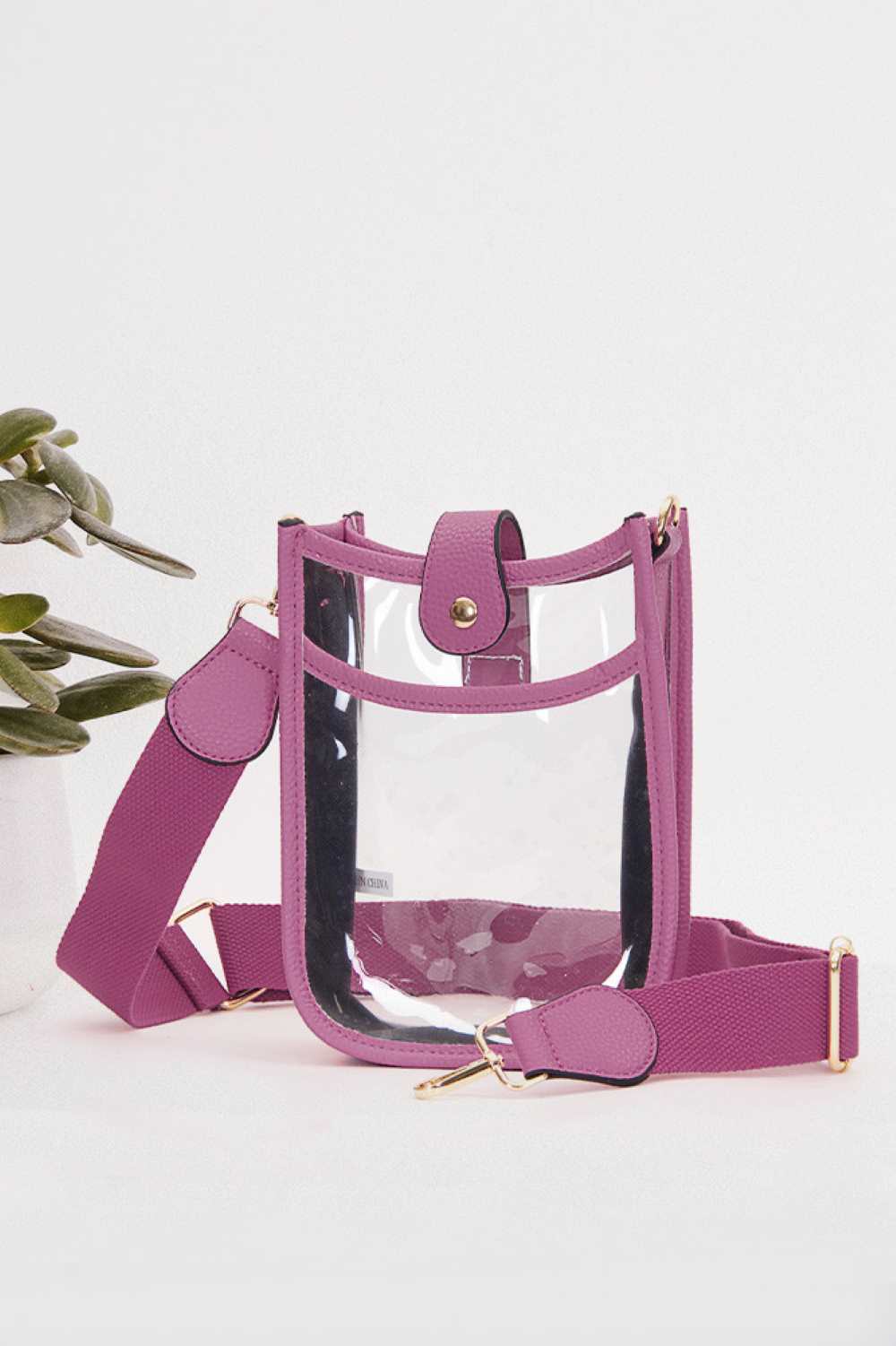 Pretty Clear Stadium Crossbody Mini Bag