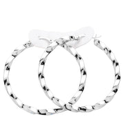 Twisted Stainless Steel Hoop Pin Catch Earrings