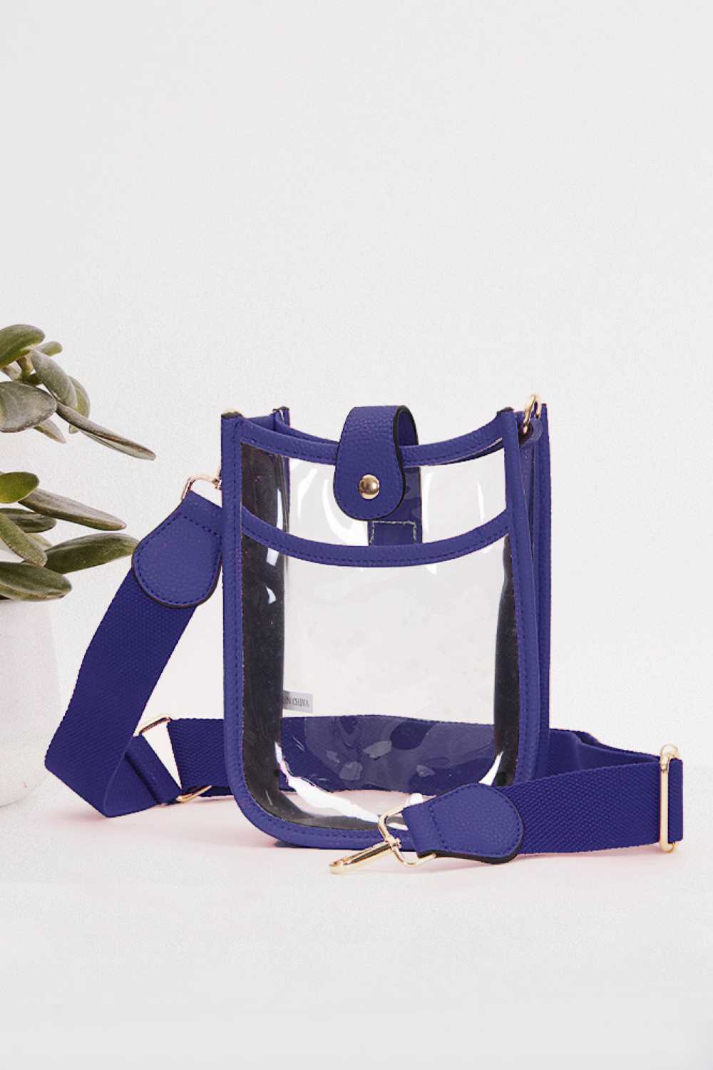 Pretty Clear Stadium Crossbody Mini Bag