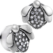 20mm Clear Gem Steel Allow Me Ladybug Double Flare Tunnel Plug Set