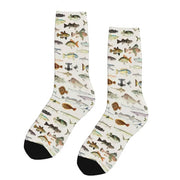 FISH PATTERN SOCKS VIBRANT FISH PRINT SOCKS