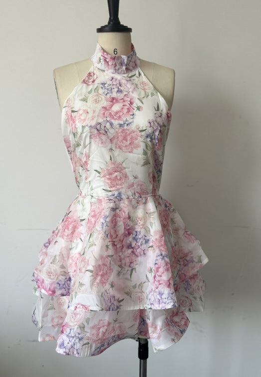 Women’s Fashion Print Sexy Halter Neck Bowknot Backless Dress - Pink / S