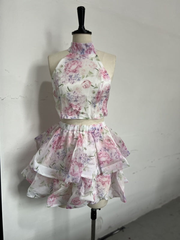 Women’s Fashion Print Sexy Halter Neck Bowknot Backless Top + Skirt Set - Pink / S