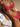 Women’s Solid Color Swimwear Sexy Bikini - Red / S